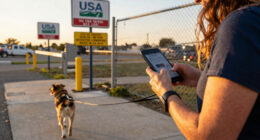 USDA updates border policy for pet owners traveling to Mexico with their dogs
