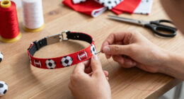 11 Best Soccer-Themed Dog Collars in 2026