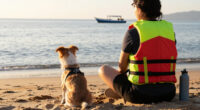 Beach Day The Pet-Safe Way — With Bonus Boat Safety Tips!