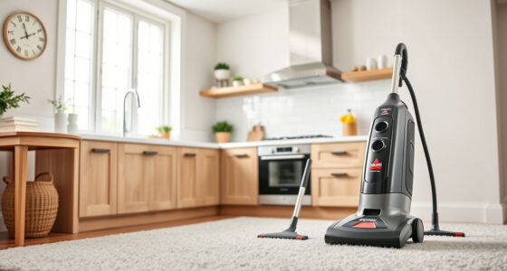 Best Bissell Carpet Cleaner for Area Rugs (2026) — Guide 6