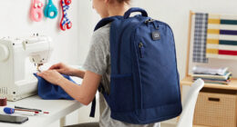 Best Dog Backpacks For School Compared
