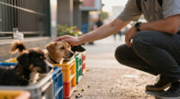 The 28th Annual Broadway Barks