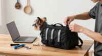 10 Best Dog Backpacks for School in 2026