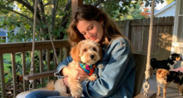 Dolly Parton Beloved Dogs