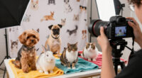 International Pet Photography Surges In Global Coverage