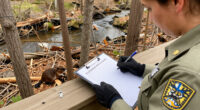 Maryland Closes More Of Cunningham Falls State Park After Second Beaver Attack