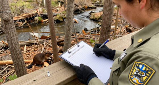 Maryland Closes More Of Cunningham Falls State Park After Second Beaver Attack