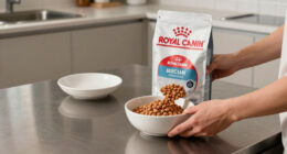 Royal Canin India Spotlights Precise Nutrition In New Pet Care Campaign Via 22Feet