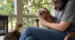 These Loving Pets Are Waiting For Their Dream Homes