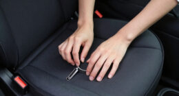 15 Best Dog Car Seat Covers for Cleaner, More Comfortable Rides in 2026