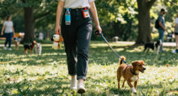 Best Gifts for a Dog Owner