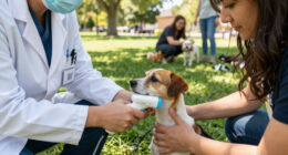 City Partners Bring Pet Microchip Scanners To Community
