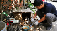 ‘Killed In Fit Of Rage’: Man Arrested For Killing Nearly 20 Cats In Mumbai - The Times Of India