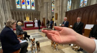 Photos: Caterpillar Among 79 Pets Blessed At Salisbury Cathedral Service
