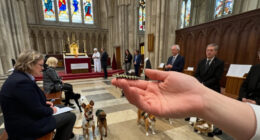 Photos: Caterpillar Among 79 Pets Blessed At Salisbury Cathedral Service