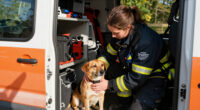 Rescued From Disaster, Bergen Finds His Home With First Responders