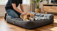 15 Best Orthopedic Dog Beds for Comfort and Support in 2027