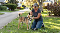 25 Years Later: Purina Study Still Shapes Healthy Weight Conversations For Dogs