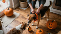 Get Ready For Howl-o-ween With These Pups!