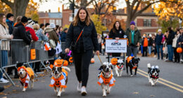 The ASPCA Participates In The 36Th Annual Tompkins Square Halloween Dog Parade